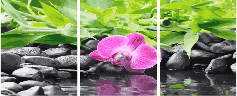 Картина по номерам Орхидея на черных камнях (модульная), арт. PX5187